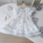 Kids Girl's Sweet Star Princess Party Dress